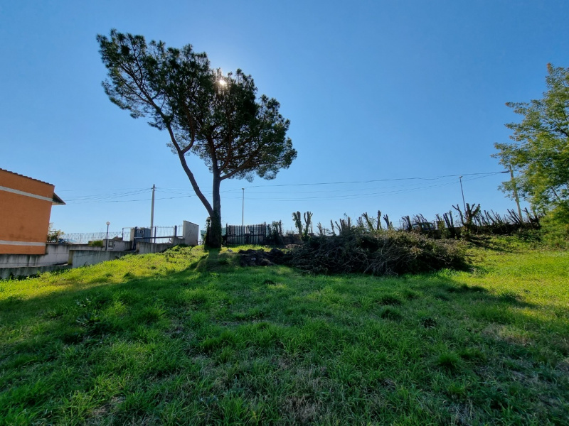 Tipologia Immobile: terreno edificabile Provincia: roma Comune: roma Località: boccea Indirizzo: Via Locana