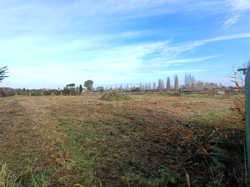 Tipologia Immobile: terreno agricolo Provincia: roma Comune: roma Località: nuova palocco Indirizzo: Via Isillo