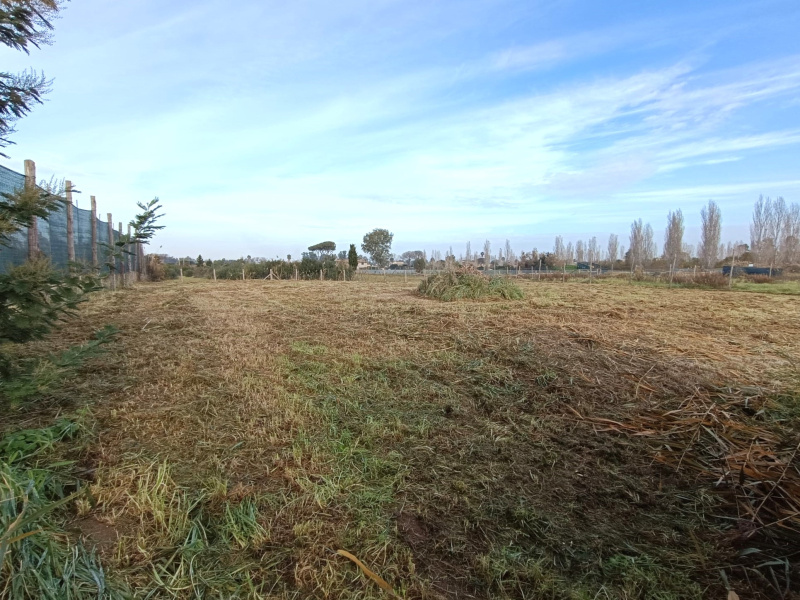 Tipologia Immobile: terreno agricolo Provincia: roma Comune: roma Località: nuova palocco Indirizzo: Via Isillo