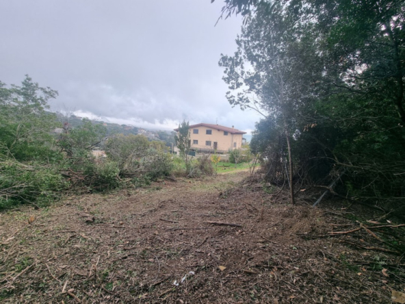 Tipologia Immobile: terreno agricolo Provincia: roma Comune: santa marinella Località: centro urbano Indirizzo: Strada Poggio del Principe