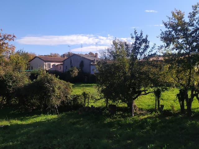 Tipologia Immobile: appartamento Provincia: roma Comune: canale monterano Località:  Indirizzo: Via della Piana