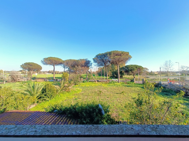 Tipologia Immobile: appartamento Provincia: roma Comune: pomezia Località:  Indirizzo: Via Montevarchi
