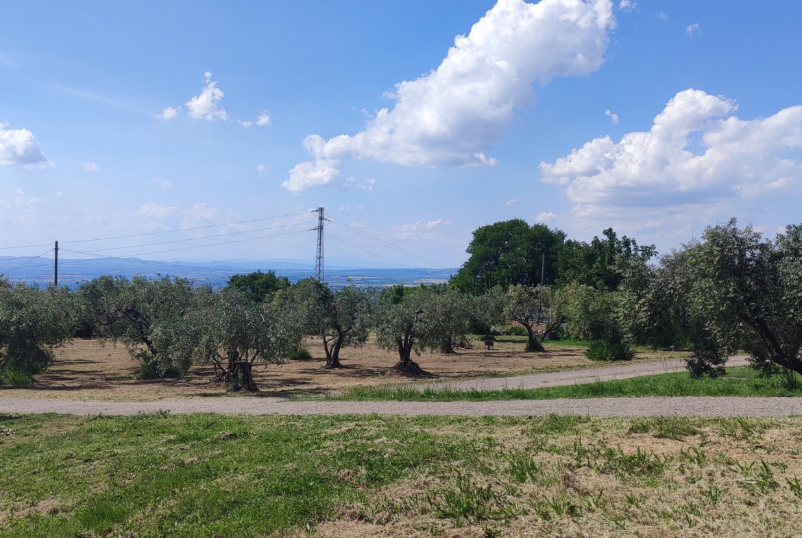 Tipologia Immobile: rustico/casale Provincia: viterbo Comune: viterbo Località: san pellegrino Indirizzo: Strada Pian di Legname