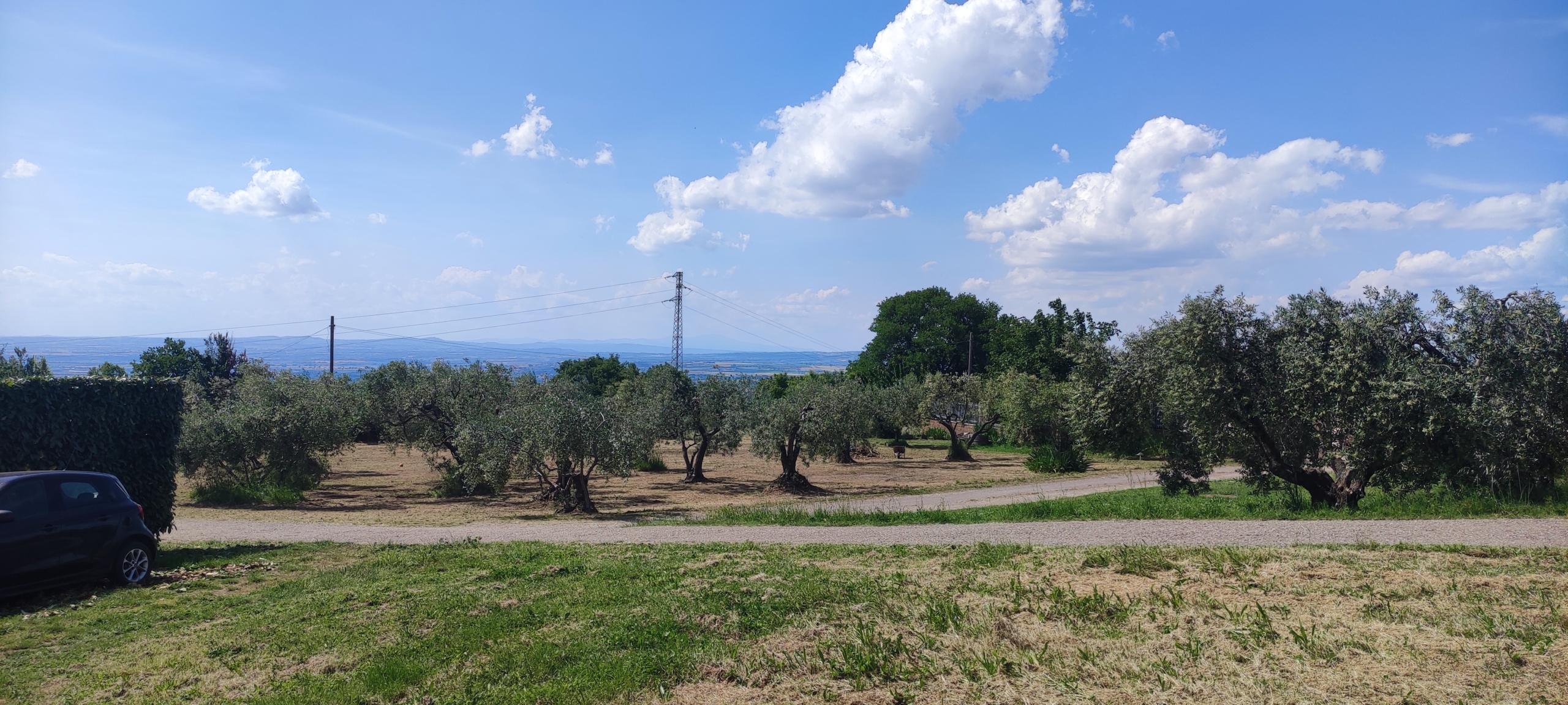 Tipologia Immobile: rustico/casale Provincia: viterbo Comune: viterbo Località: san pellegrino Indirizzo: Strada Pian di Legname