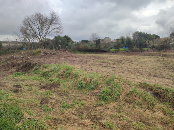 Tipologia Immobile: terreno agricolo Provincia: roma Comune: albano laziale Località: centro urbano Indirizzo: Vicolo Sant'Antonio in Canepine
