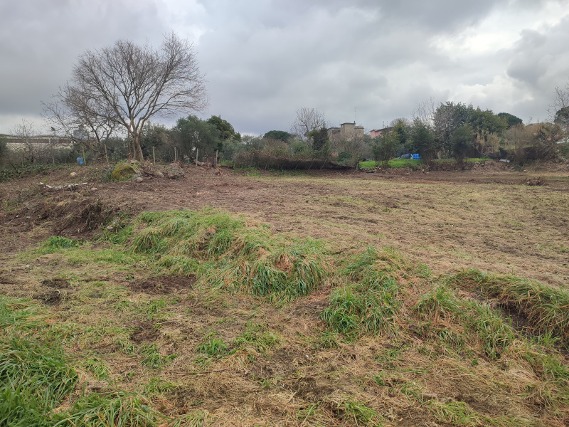 Tipologia Immobile: terreno agricolo Provincia: roma Comune: albano laziale Località: centro urbano Indirizzo: Vicolo Sant'Antonio in Canepine