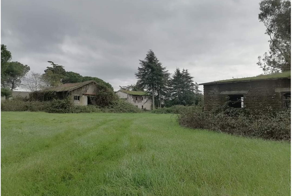 Tipologia Immobile: terreno agricolo Provincia: roma Comune: bracciano Località: vigna di valle Indirizzo: Via Braccianese Claudia