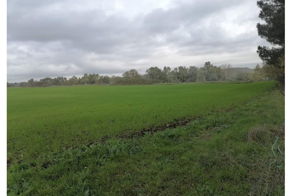 Tipologia Immobile: terreno agricolo Provincia: roma Comune: bracciano Località: vigna di valle Indirizzo: Via Braccianese Claudia