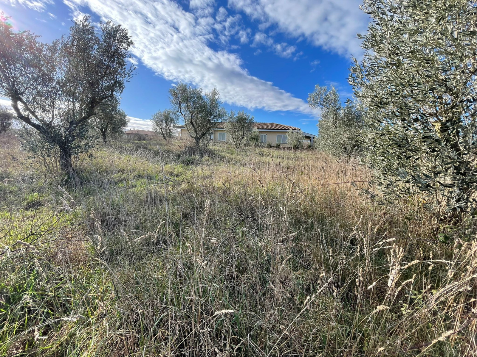 Tipologia Immobile: terreno agricolo Provincia: viterbo Comune: monterosi Località:  Indirizzo: Via Marcello Paris