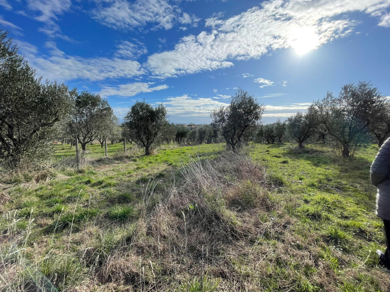 Tipologia Immobile: terreno agricolo Provincia: viterbo Comune: monterosi Località:  Indirizzo: Via Marcello Paris