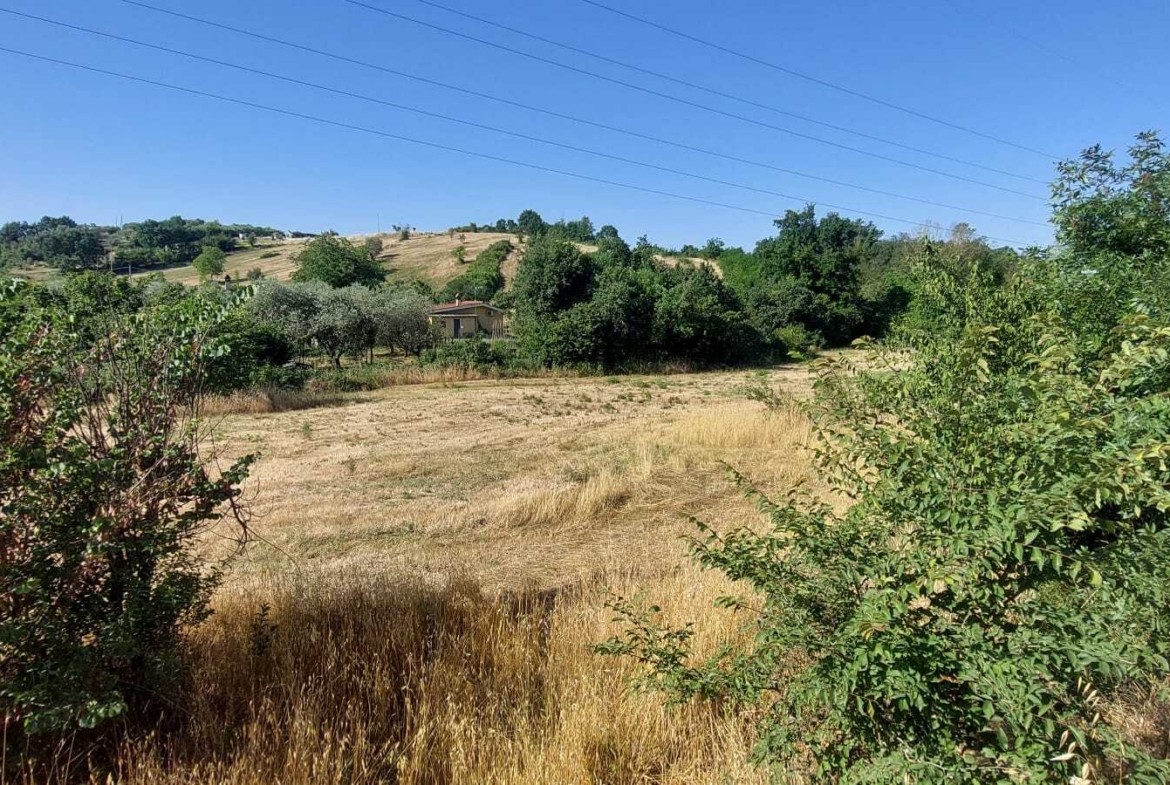 Tipologia Immobile: terreno agricolo Provincia: roma Comune: sant'angelo romano Località:  Indirizzo: Via di Valle Sfondata
