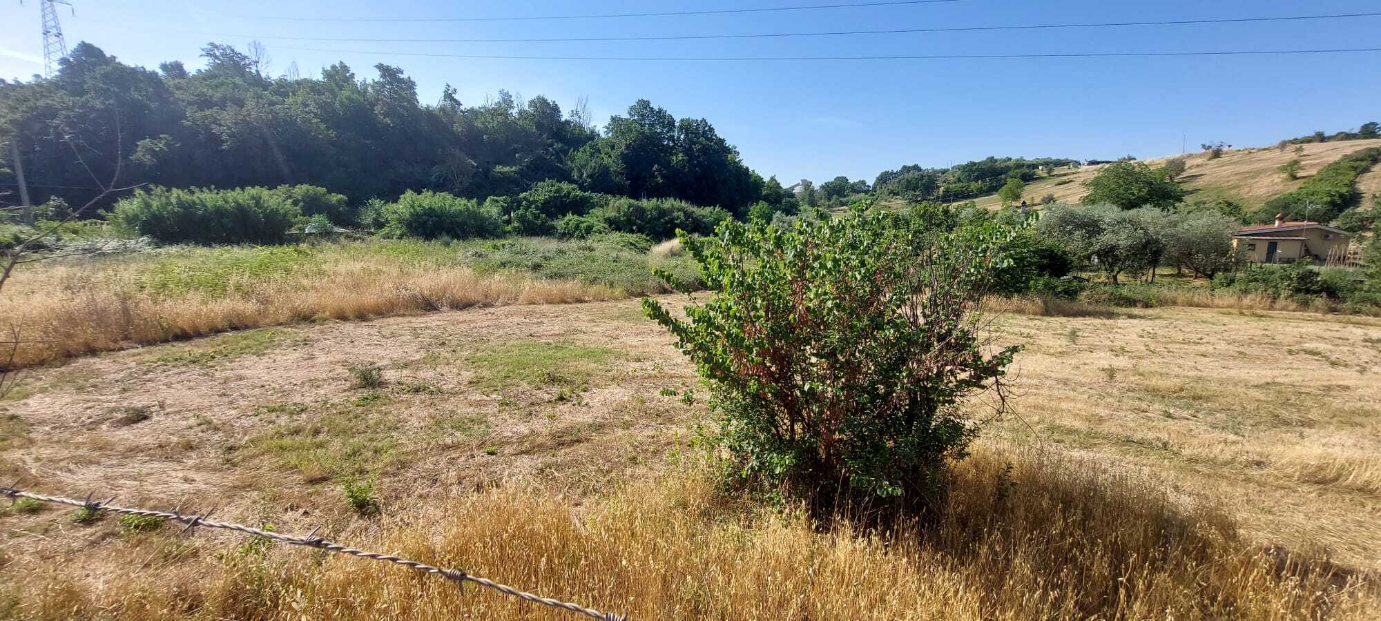 Tipologia Immobile: terreno agricolo Provincia: roma Comune: sant'angelo romano Località:  Indirizzo: Via di Valle Sfondata