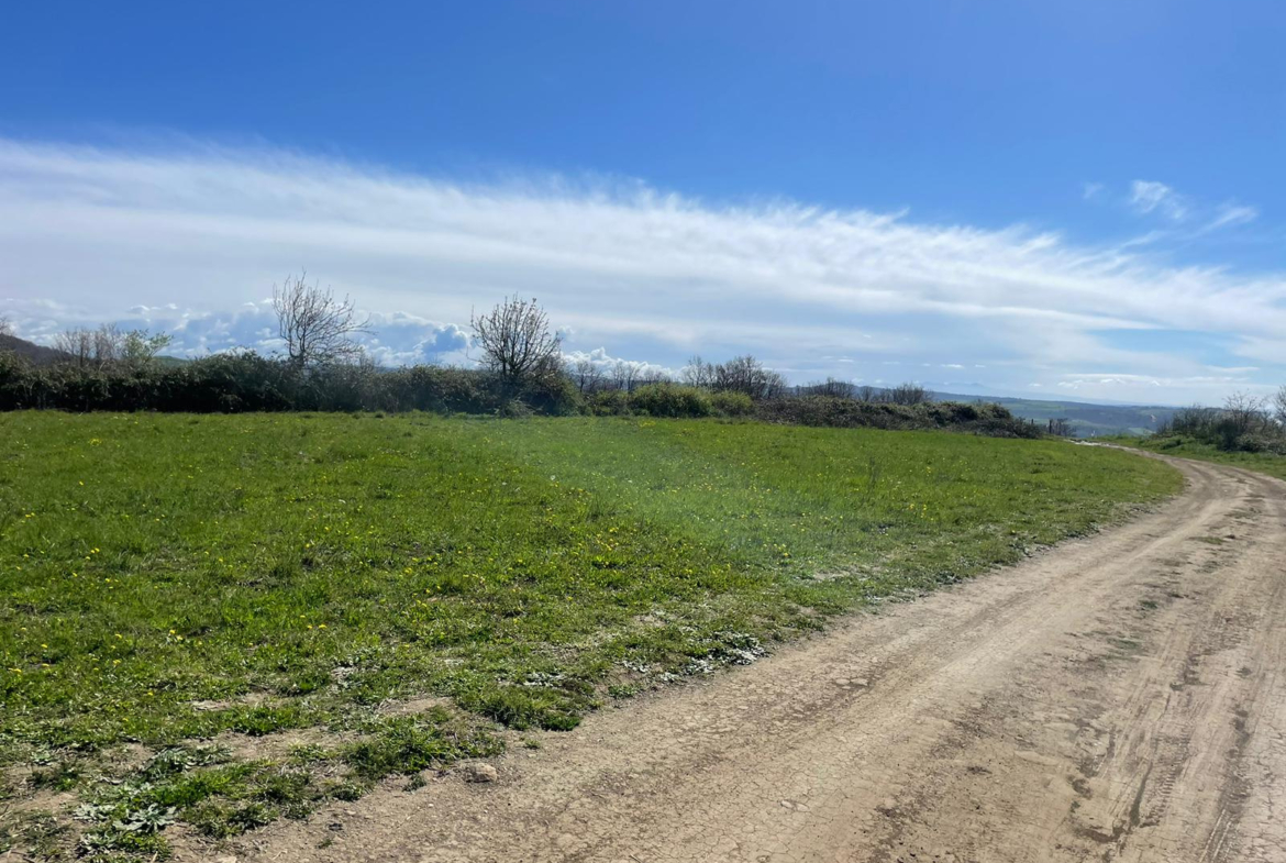 Tipologia Immobile: terreno agricolo Provincia: roma Comune: trevignano romano Località:  Indirizzo: Via della Madonnella