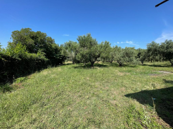 Tipologia Immobile: terreno agricolo Provincia: roma Comune: trevignano romano Località:  Indirizzo: Via degli Spalletoni