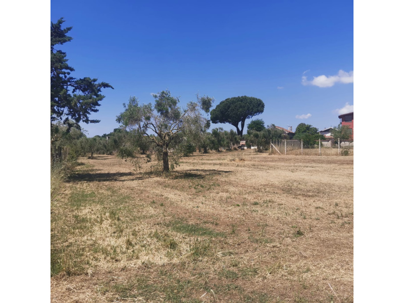 Tipologia Immobile: terreno edificabile Provincia: roma Comune: nettuno Località: tre cancelli Indirizzo: Via Chiusi