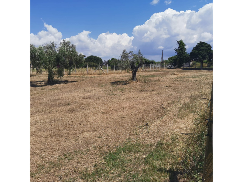 Tipologia Immobile: terreno edificabile Provincia: roma Comune: nettuno Località: tre cancelli Indirizzo: Via Chiusi