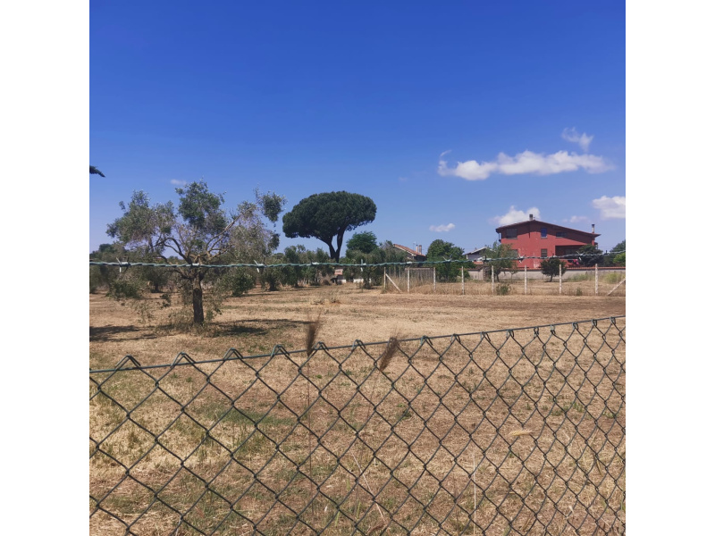 Tipologia Immobile: terreno edificabile Provincia: roma Comune: nettuno Località: tre cancelli Indirizzo: Via Chiusi