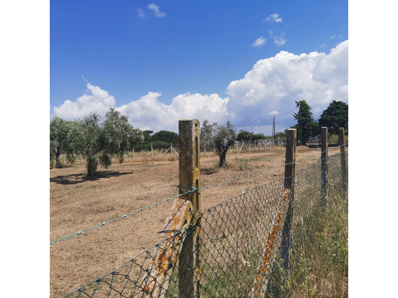 Tipologia Immobile: terreno edificabile Provincia: roma Comune: nettuno Località: tre cancelli Indirizzo: Via Chiusi