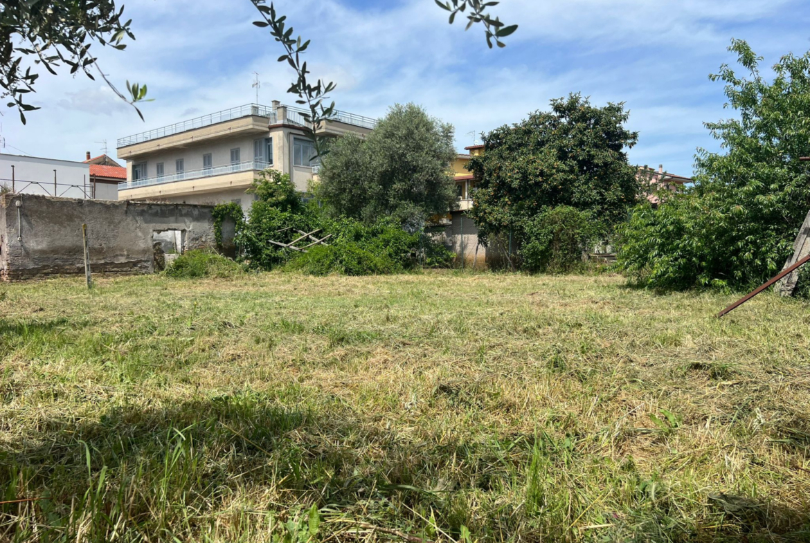 Tipologia Immobile: terreno edificabile Provincia: roma Comune: tivoli Località: tivoli Indirizzo: Strada Favale