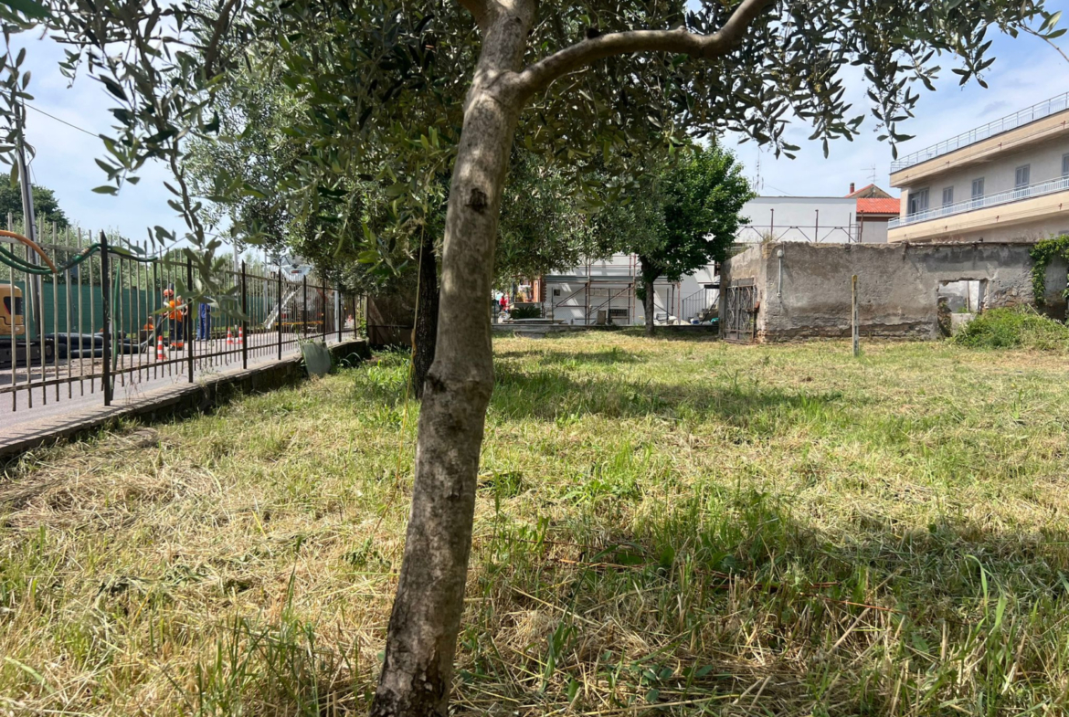 Tipologia Immobile: terreno edificabile Provincia: roma Comune: tivoli Località: tivoli Indirizzo: Strada Favale