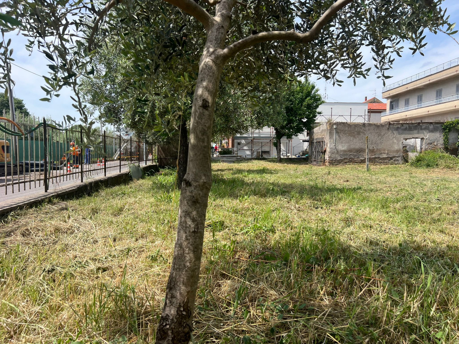 Tipologia Immobile: terreno edificabile Provincia: roma Comune: tivoli Località: tivoli Indirizzo: Strada Favale