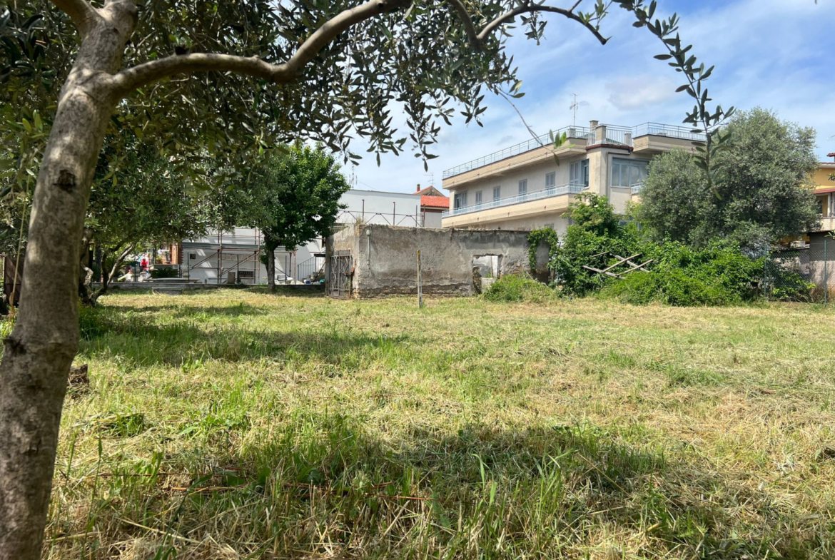 Tipologia Immobile: terreno edificabile Provincia: roma Comune: tivoli Località: tivoli Indirizzo: Strada Favale