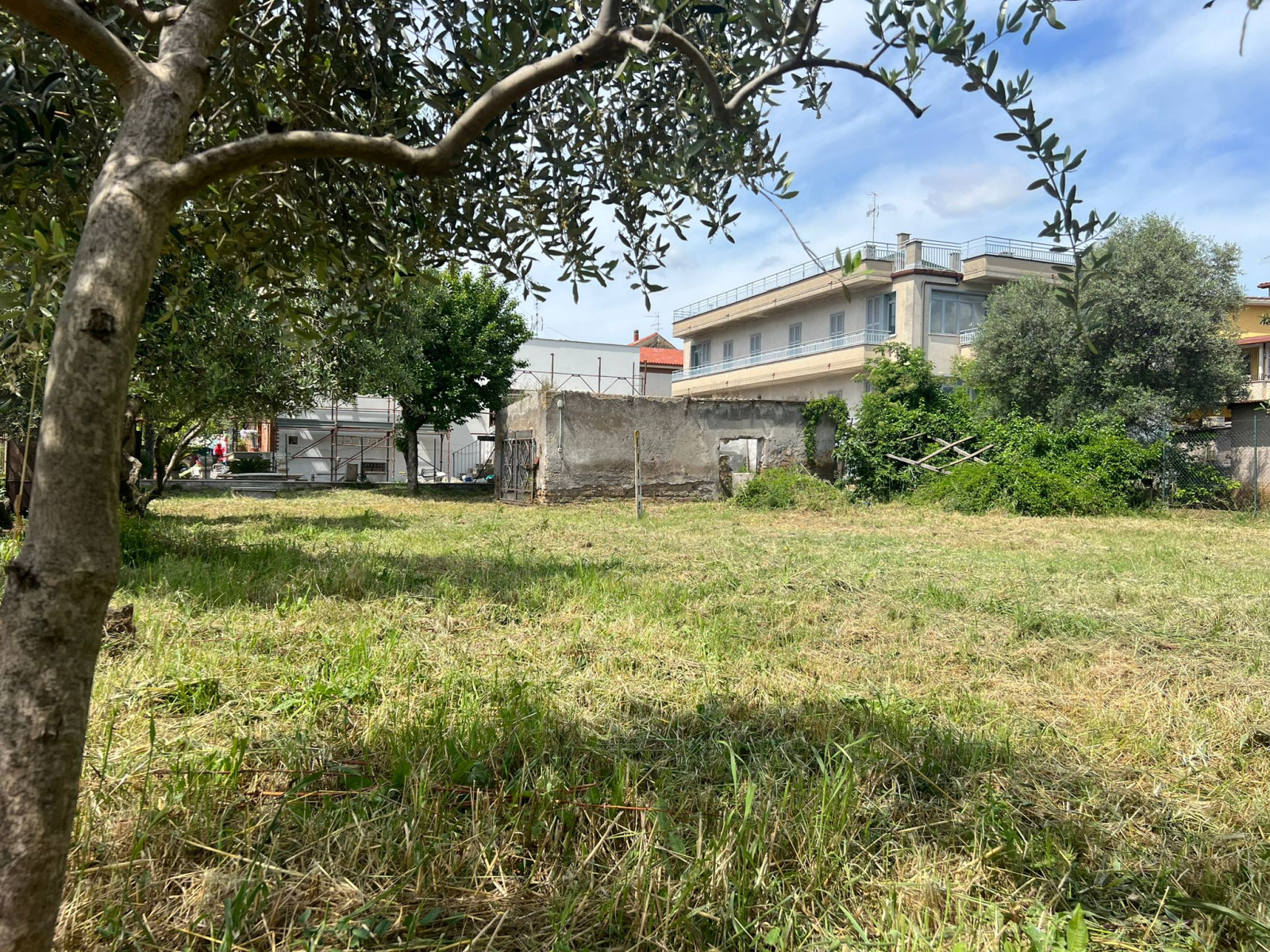 Tipologia Immobile: terreno edificabile Provincia: roma Comune: tivoli Località: tivoli Indirizzo: Strada Favale