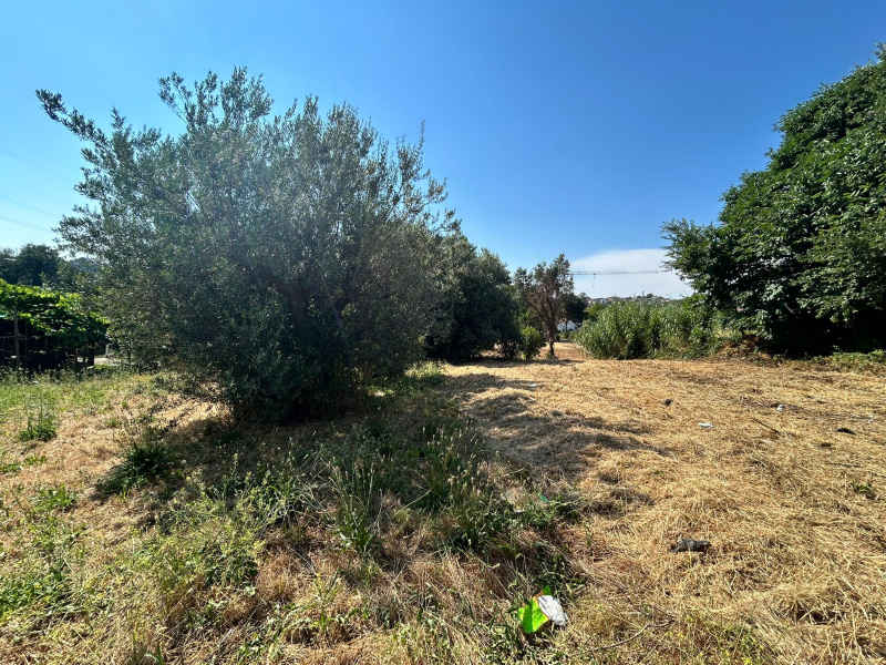 Tipologia Immobile: terreno agricolo Provincia: roma Comune: albano laziale Località: centro urbano Indirizzo: Vicolo Sant'Antonio in Canepine