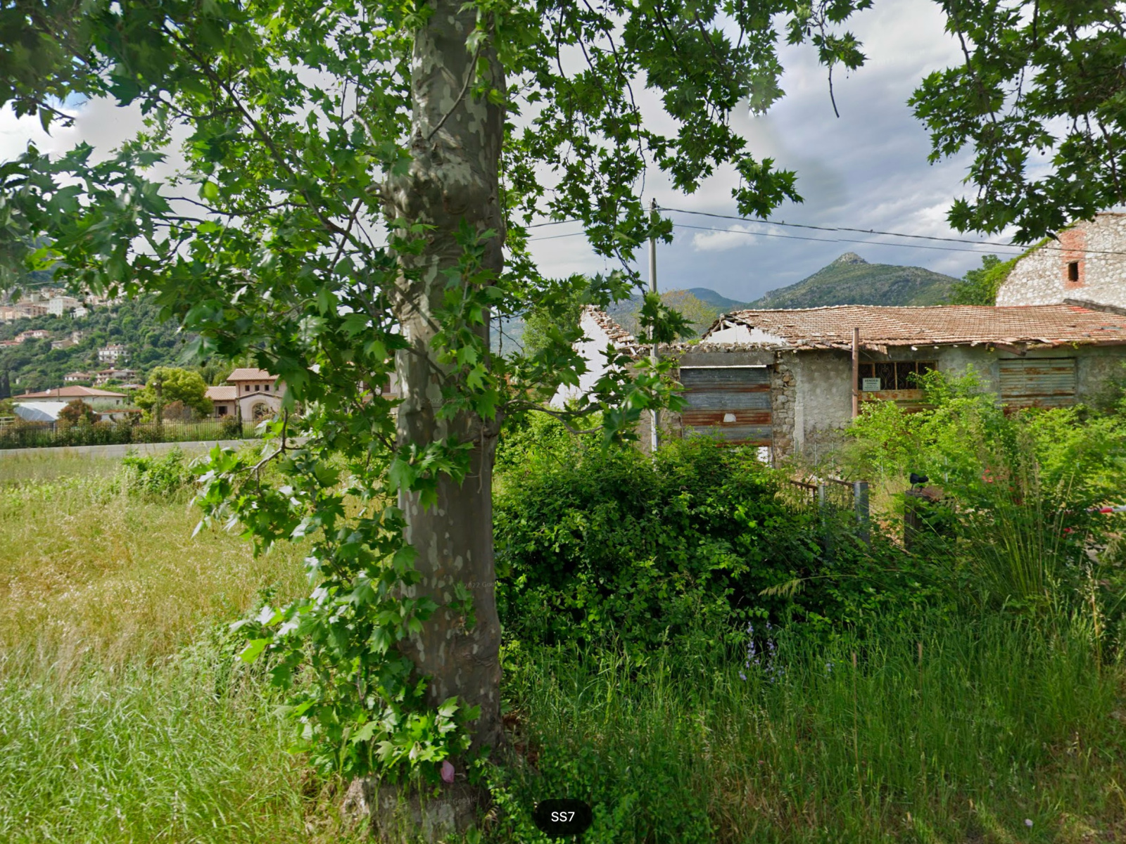 Tipologia Immobile: terreno edificabile Provincia: latina Comune: monte san biagio Località:  Indirizzo: Indirizzo Mancante