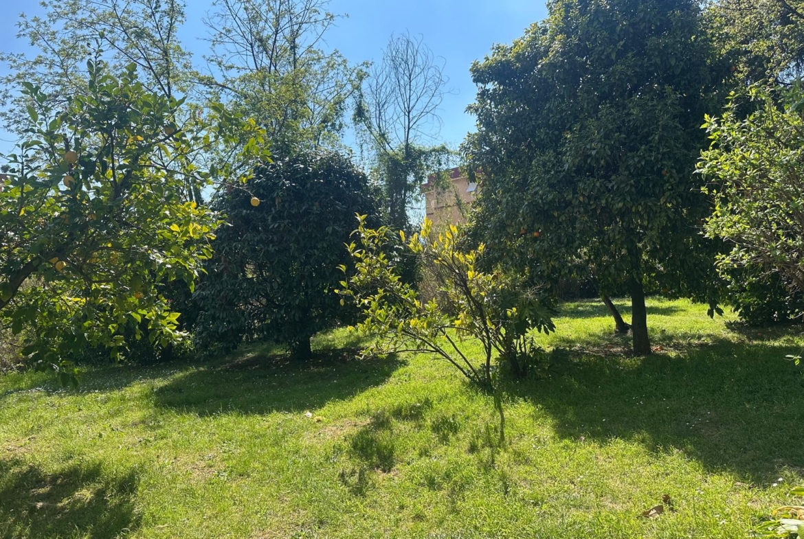 Tipologia Immobile: appartamento Provincia: roma Comune: velletri Località:  Indirizzo: Via Fontana delle Rose