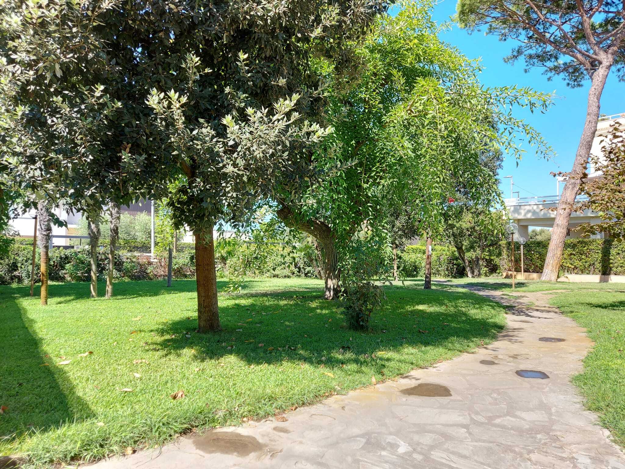 Tipologia Immobile: appartamento Provincia: roma Comune: fiumicino Località: centro Indirizzo: Via l'Ardenza