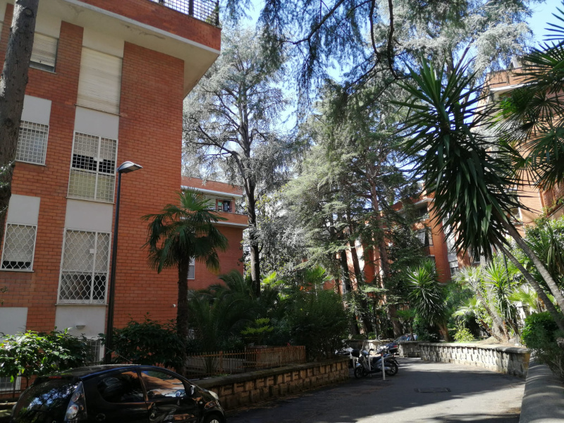 Tipologia Immobile: appartamento Provincia: roma Comune: roma Località: nuovo salario Indirizzo: Via Chiusi