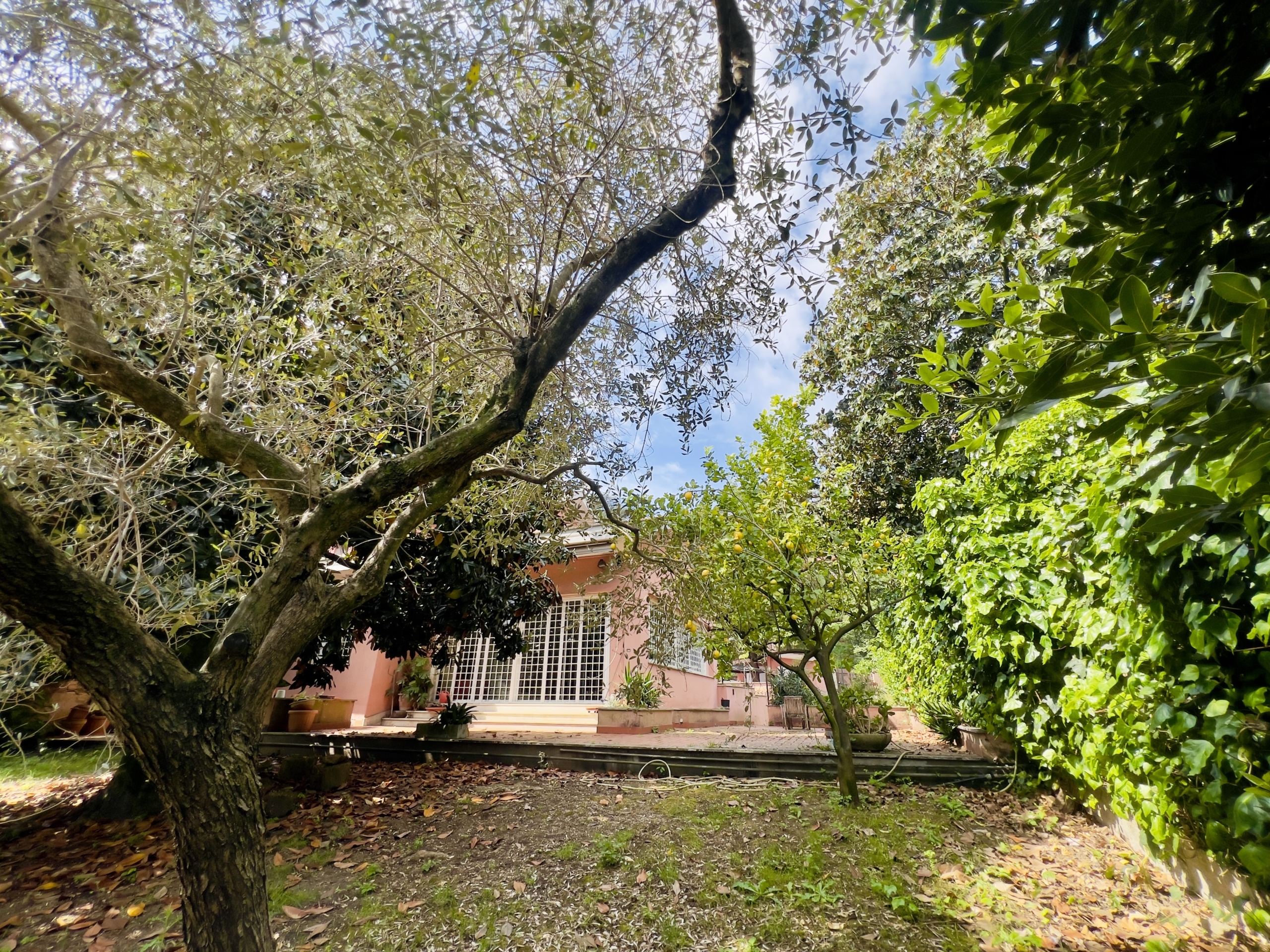 Tipologia Immobile: villa / indipendente / semi indipendente Provincia: roma Comune: roma Località: bravetta Indirizzo: Via Francesco Vettori