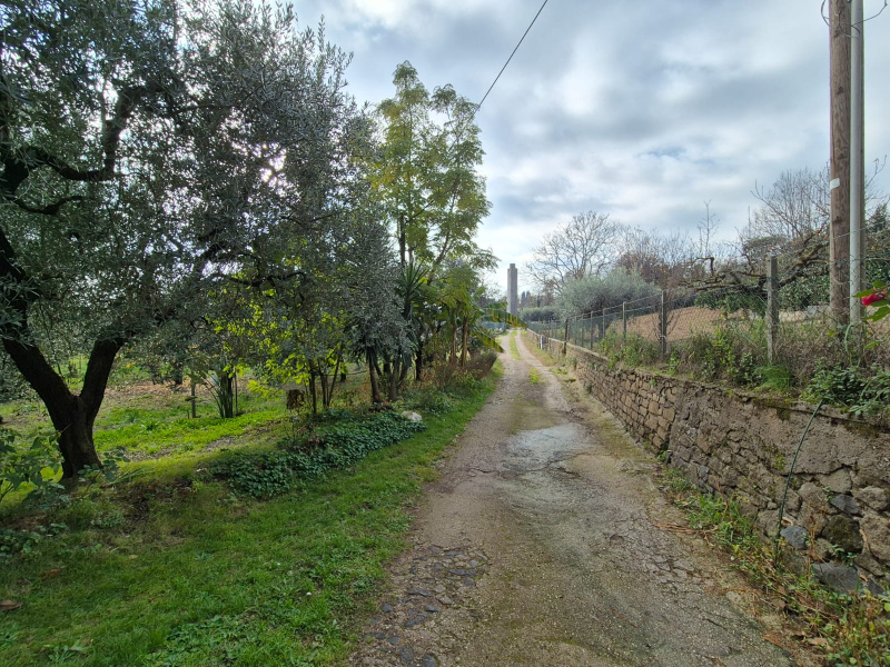 Tipologia Immobile: villa / indipendente / semi indipendente Provincia: roma Comune: velletri Località:  Indirizzo: Via di Contrada Comune